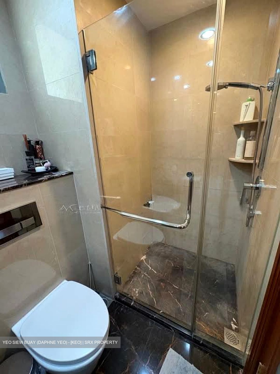 Aspen Heights (D9), Condominium #599155841